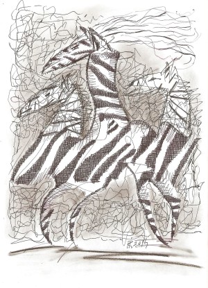 MR - Pohľad na Zebru